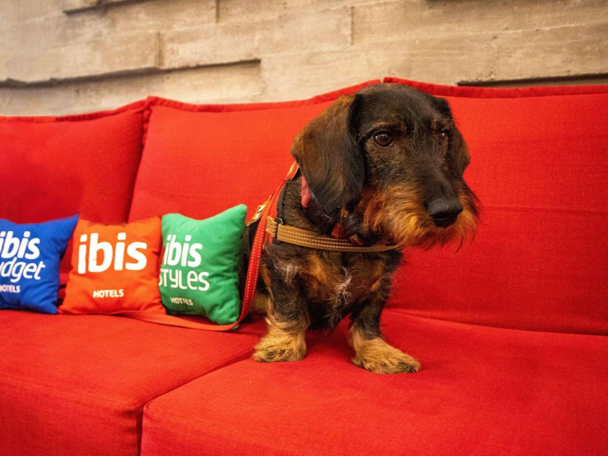 Ibis Mérida Buitenkant foto